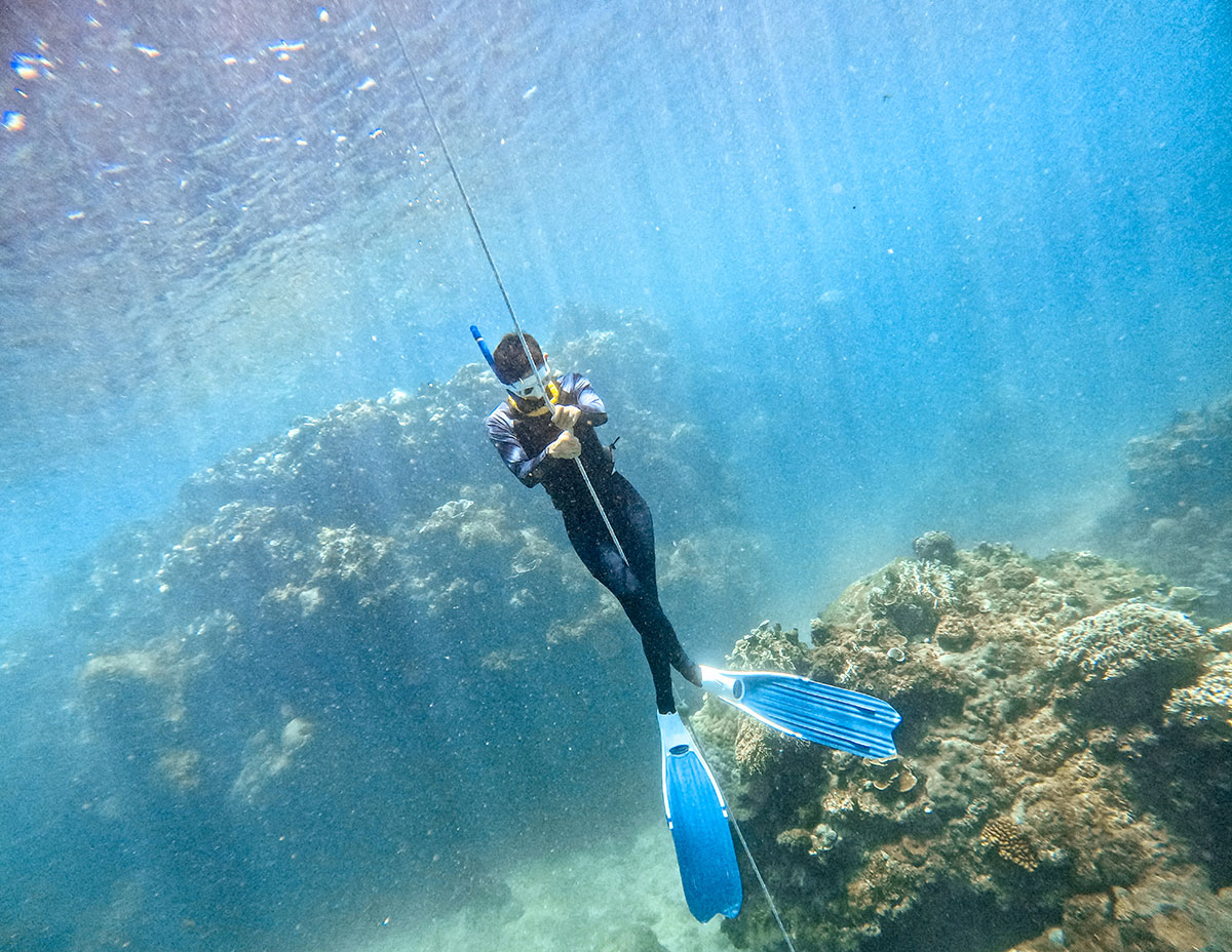 不會游泳可以學自由潛水嗎?完整解說+教練角度分析 - 第5張圖