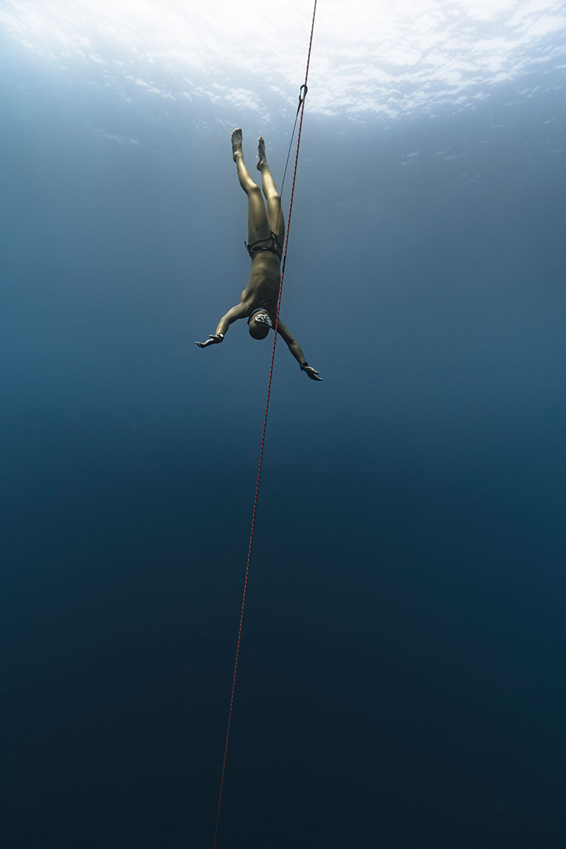 什麼是自由潛水？