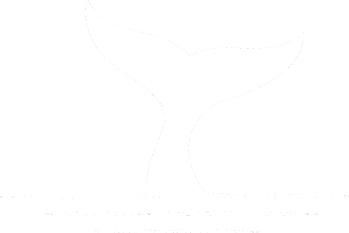 陳子民的海上生活