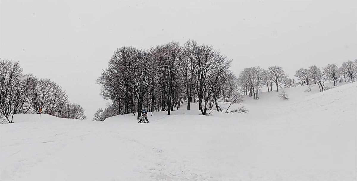 【2026 新潟滑雪】新井樂天度假村 Lotte Arai Resort 全攻略：滑雪、五星級住宿、交通美食，就找美黛子遊日本