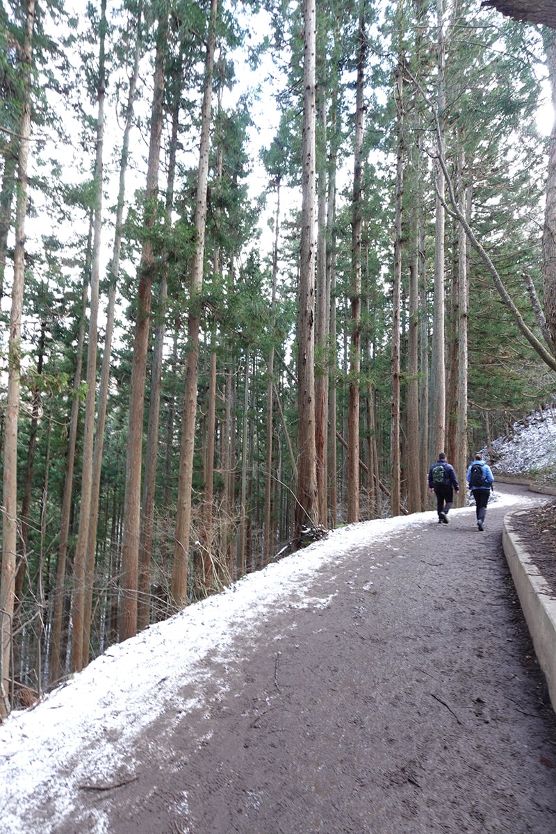 【2026 新潟滑雪】新井樂天度假村 Lotte Arai Resort 全攻略：滑雪、五星級住宿、交通美食，就找美黛子遊日本