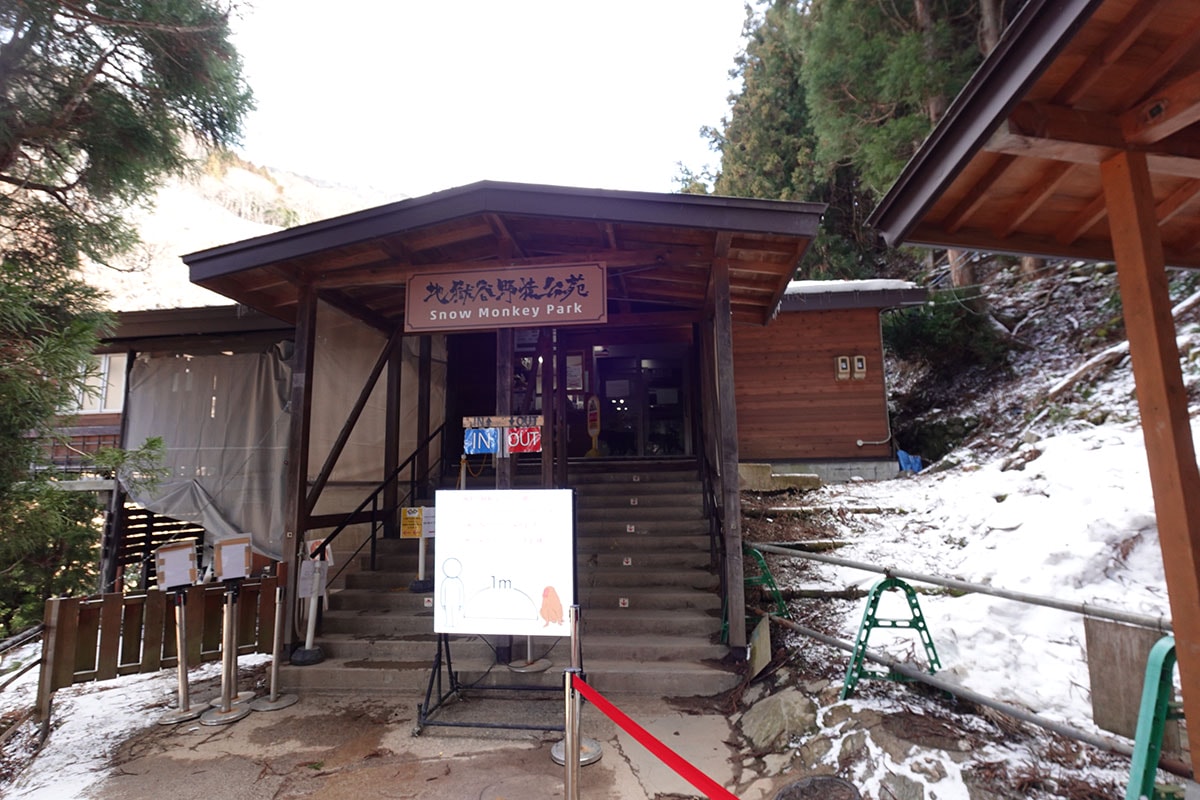 【2026 新潟滑雪】新井樂天度假村 Lotte Arai Resort 全攻略：滑雪、五星級住宿、交通美食，就找美黛子遊日本