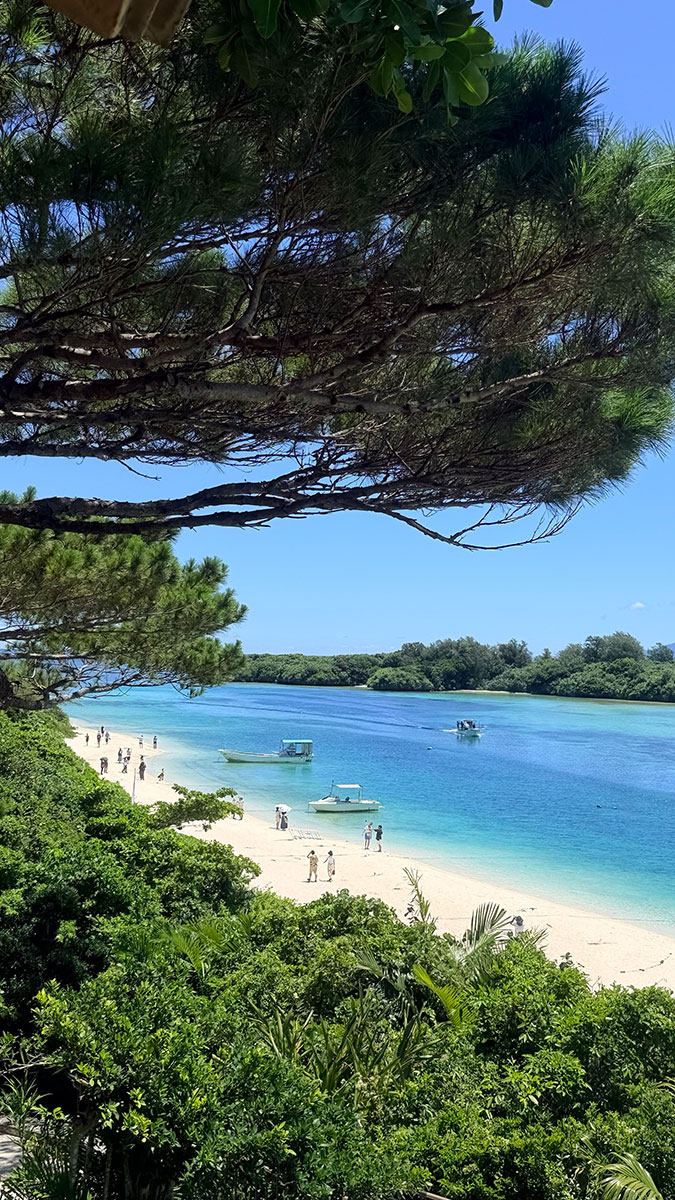 石垣島旅遊攻略 2026｜自由潛水、景點、美食完全指南