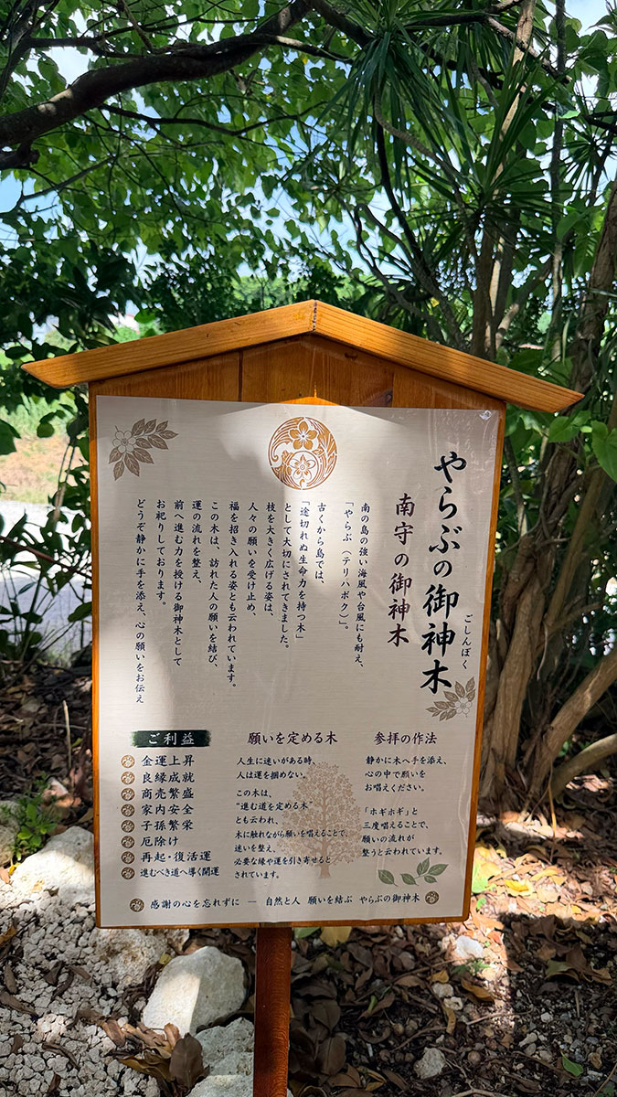 石垣島旅遊攻略 2026｜自由潛水、景點、美食完全指南